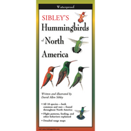 Hummingbirds of NA Guide