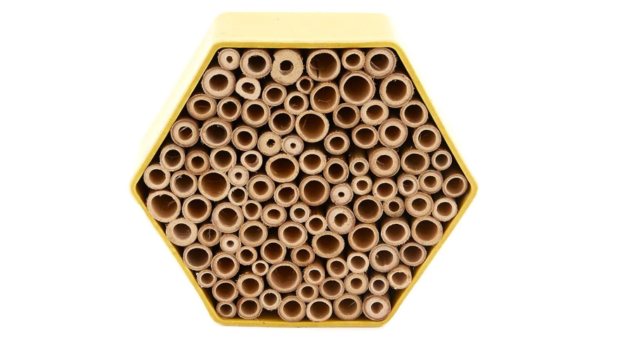 Insect Bee House