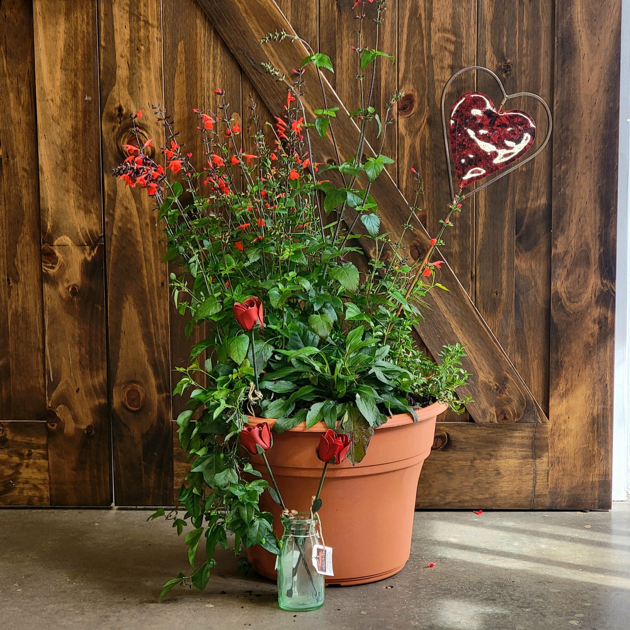 pot plants for butterflies Butterfly Garden in a Pot – Little Red Wagon Native Nursery