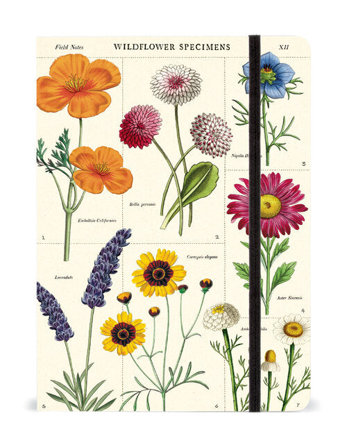 Notebook - Wildflowers (large)