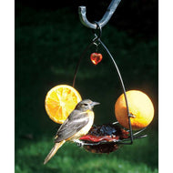 Oriole Bird Feeder