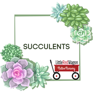 Succulent Plants