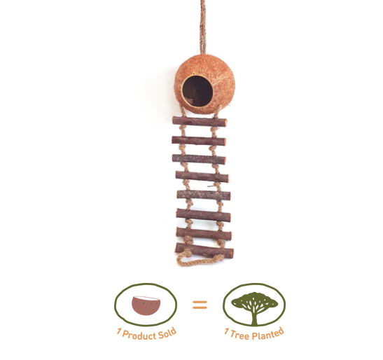 Coconut Birdhouse with Ladder