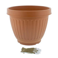 Plastic Planters - Centabella